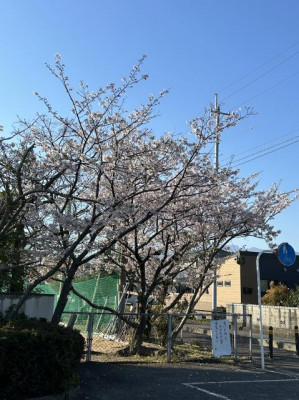 pict-IMG_8911