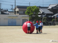 pict-IMG_1614