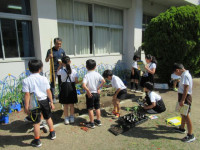 pict-植物観察 (9)