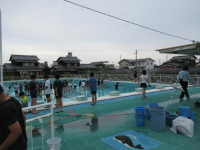 pict-プール清掃 (4)