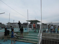pict-プール清掃 (13)