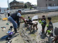 pict-田植え (5)