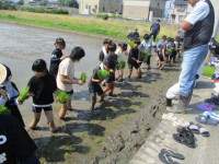 pict-田植え (7)