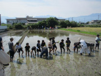 pict-田植え (10)