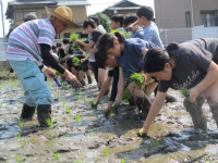pict-田植え (12)
