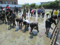 pict-田植え (15)