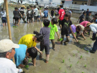 pict-田植え (17)
