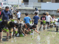 pict-田植え (18)
