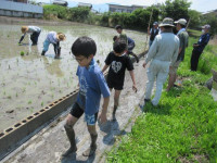 pict-田植え (21)