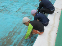 pict-1年プール (14)