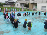 pict-1年プール (16)