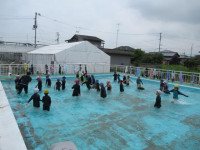 pict-1年プール (19)