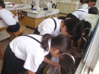 20260606洗濯 (8)
