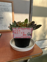 pict-IMG_9164