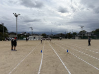 image7