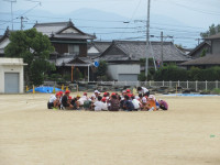 pict-IMG_2666
