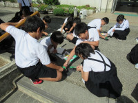 pict-3-2理科太陽の光 (2)