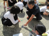 pict-3-2理科太陽の光 (7)