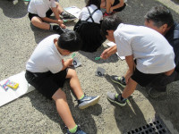 pict-3-2理科太陽の光 (8)