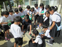 pict-3-2理科太陽の光 (15)